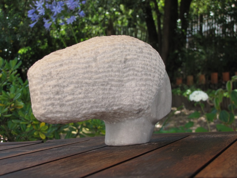 Attendre la caresse du zephyr 7 800x600 