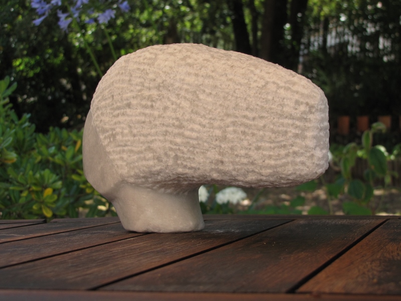 Attendre la caresse du zephyr 9 800x600 