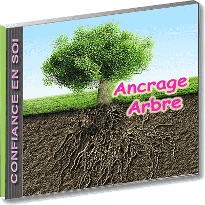 Ancrage-Arbre