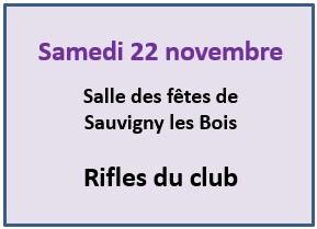 Rifles-22-11