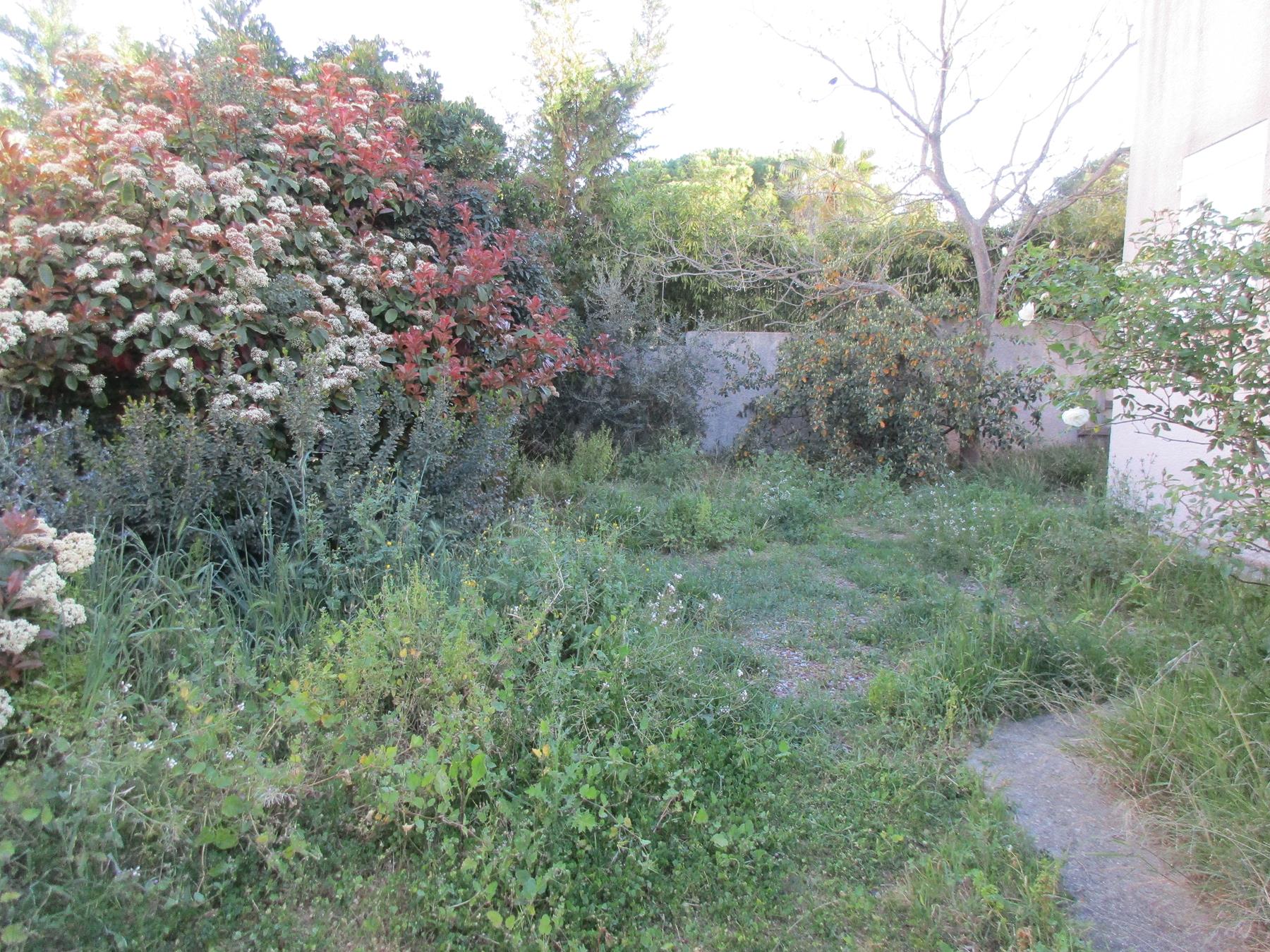 La vision hygiéniste du jardin propre: une solution durable?