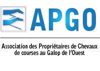 Ouverture du site web