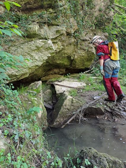 Entrée de la Grotte de la Loutre à Chaleux (Pce Namur). Un bras de la Lesse sous-terraine passant sous une colline.
Mai 2024