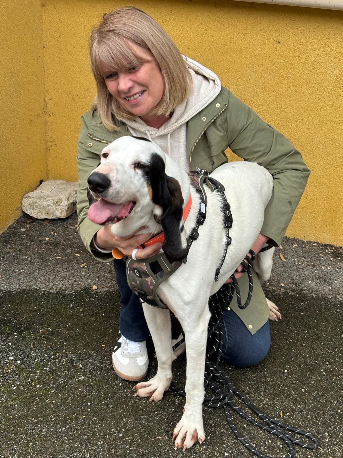 488534280 1076435971185247 4361544853844022274 n