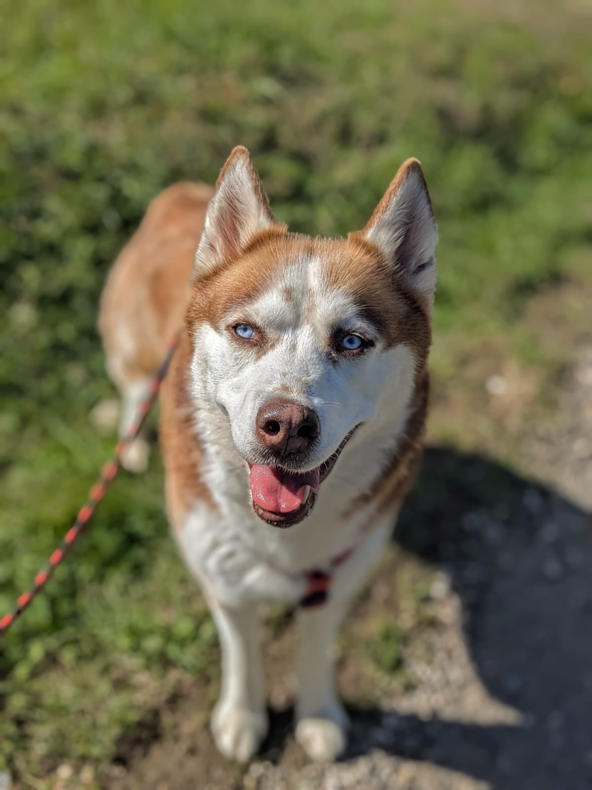 Whatsapp image 2024 10 06 at 18 45 55