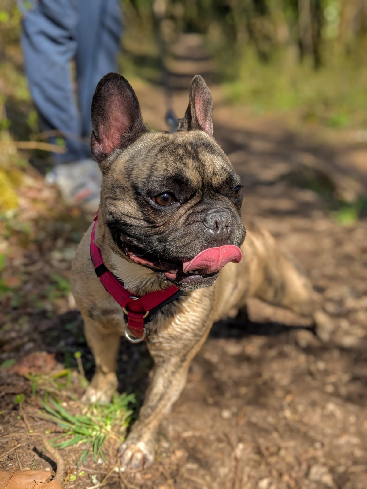 Whatsapp image 2025 03 30 at 17 58 08 1 