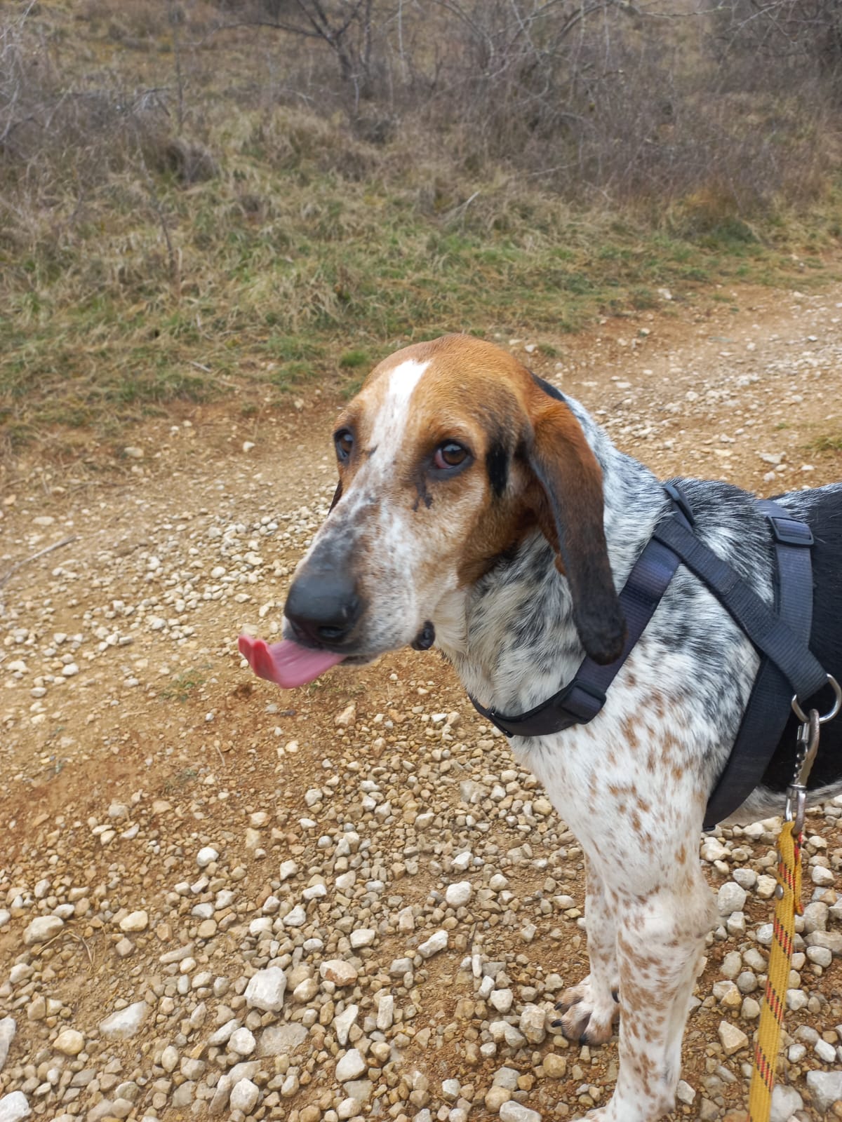 Whatsapp image 2025 02 23 at 16 44 13 1 