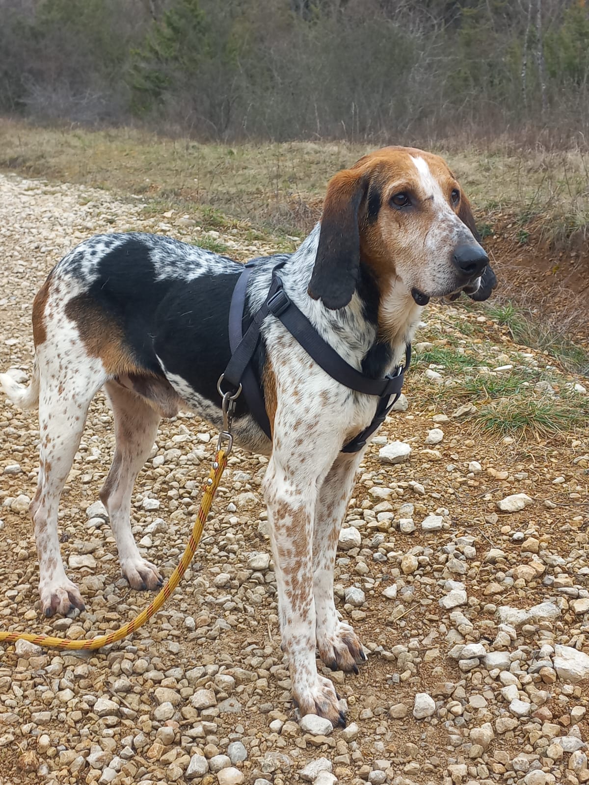 Whatsapp image 2025 02 23 at 16 44 14