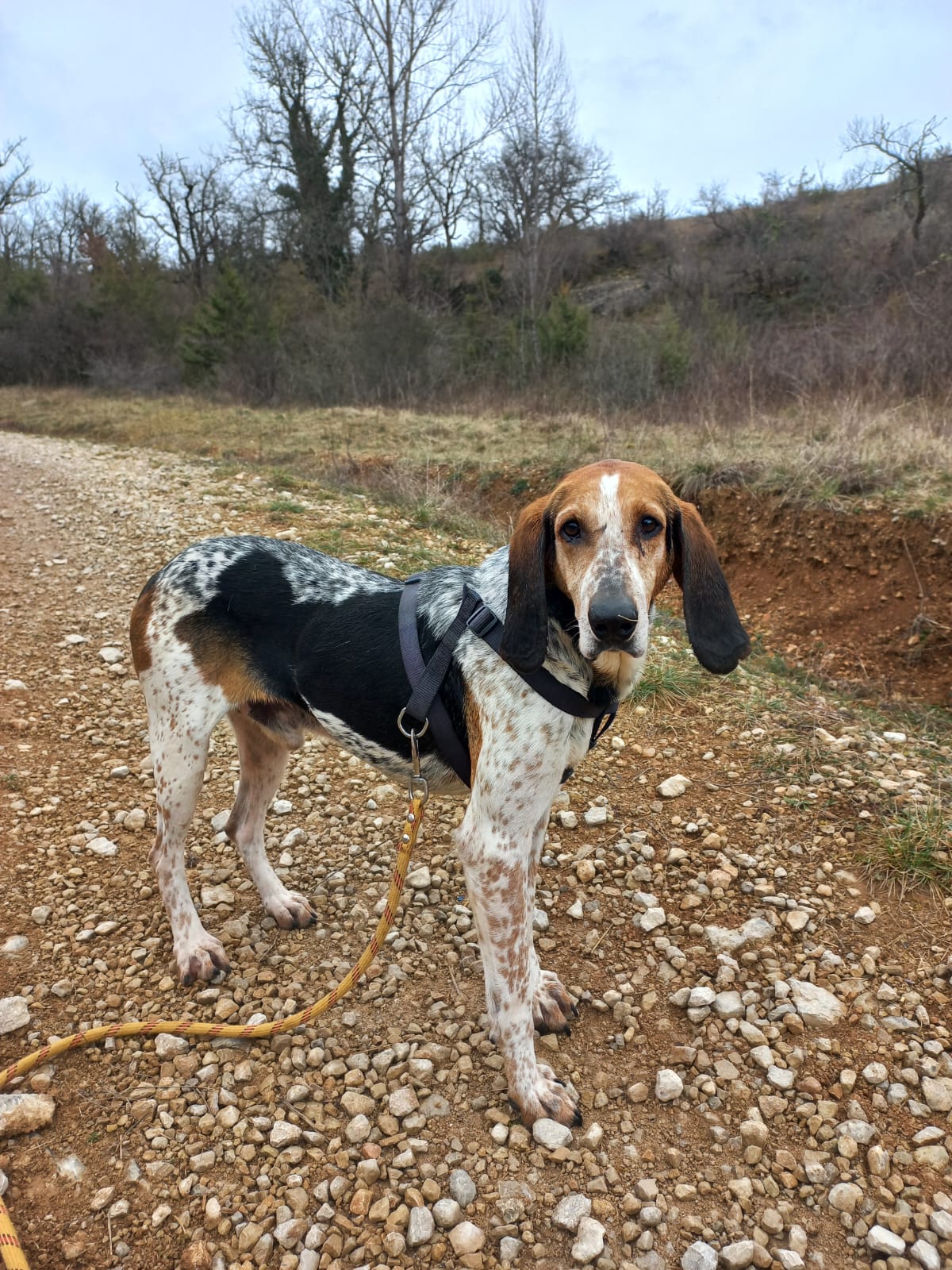 Whatsapp image 2025 02 23 at 16 44 14 1 