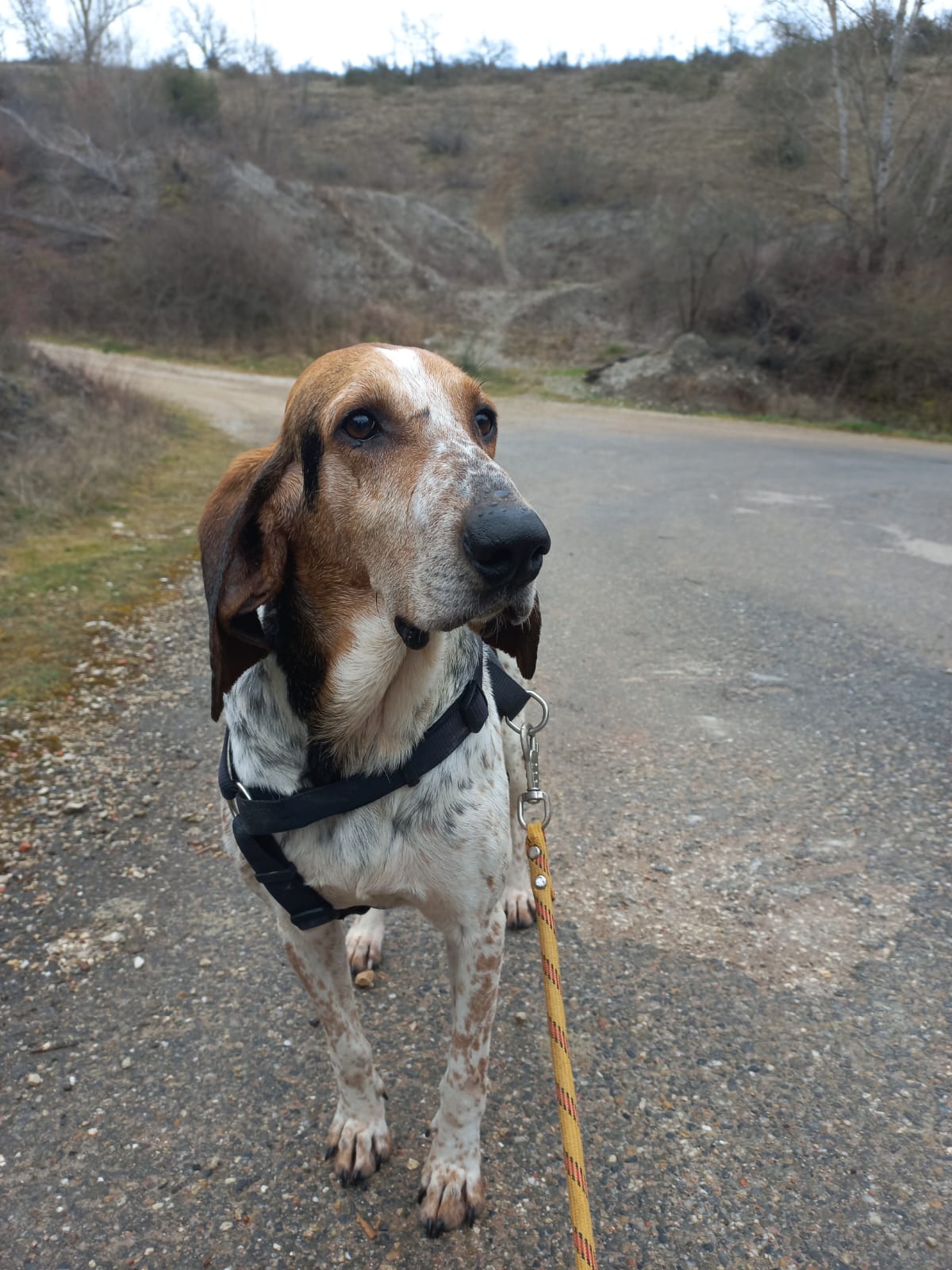 Whatsapp image 2025 02 23 at 16 44 13