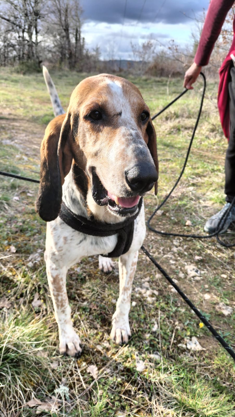 Whatsapp image 2025 03 23 at 19 15 30 1 