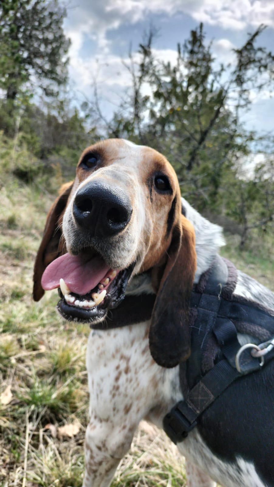 Whatsapp image 2025 03 26 at 18 25 29