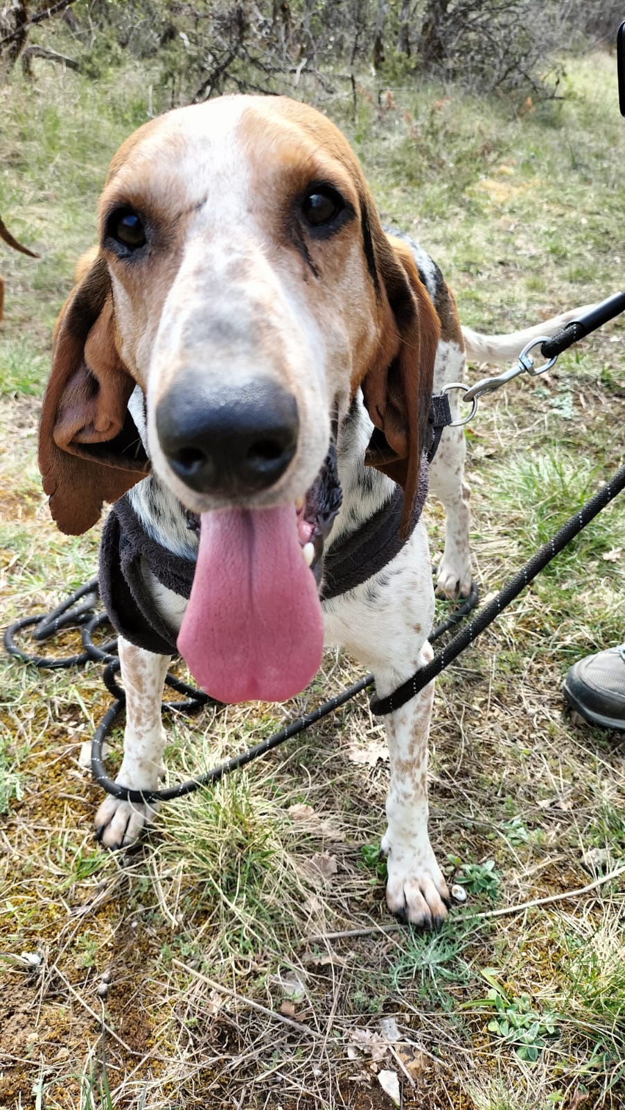 Whatsapp image 2025 03 26 at 18 25 27