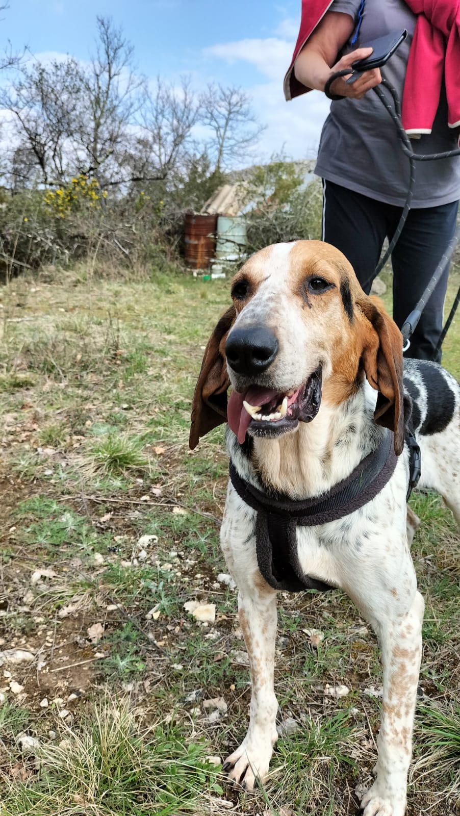 Whatsapp image 2025 03 26 at 18 25 18