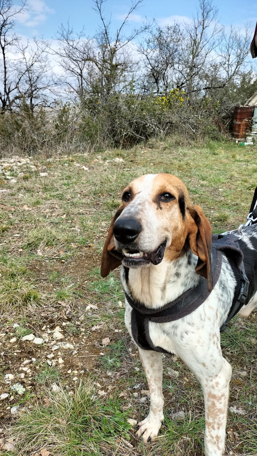 Whatsapp image 2025 03 26 at 18 24 58