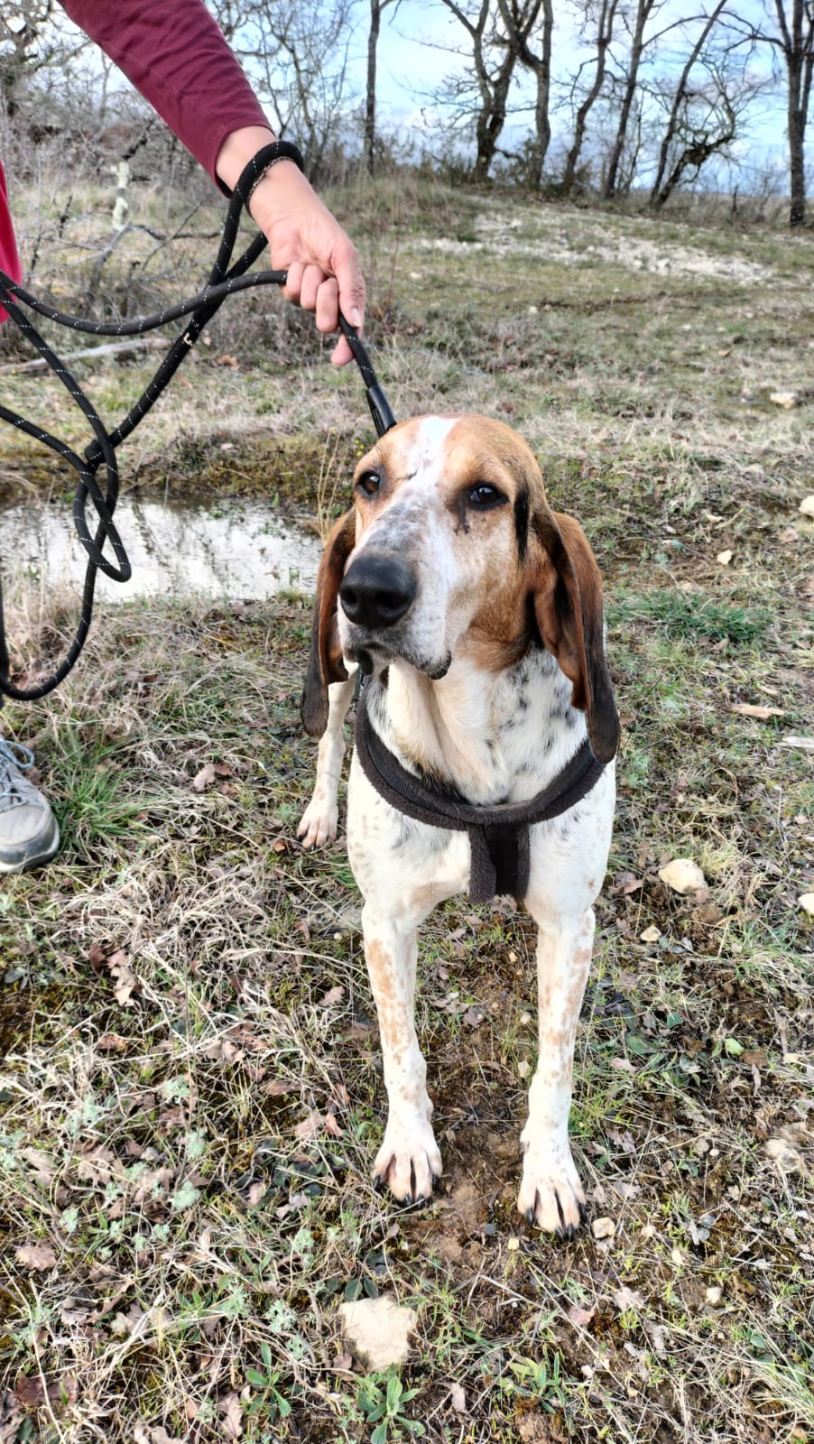 Whatsapp image 2025 03 23 at 19 15 31