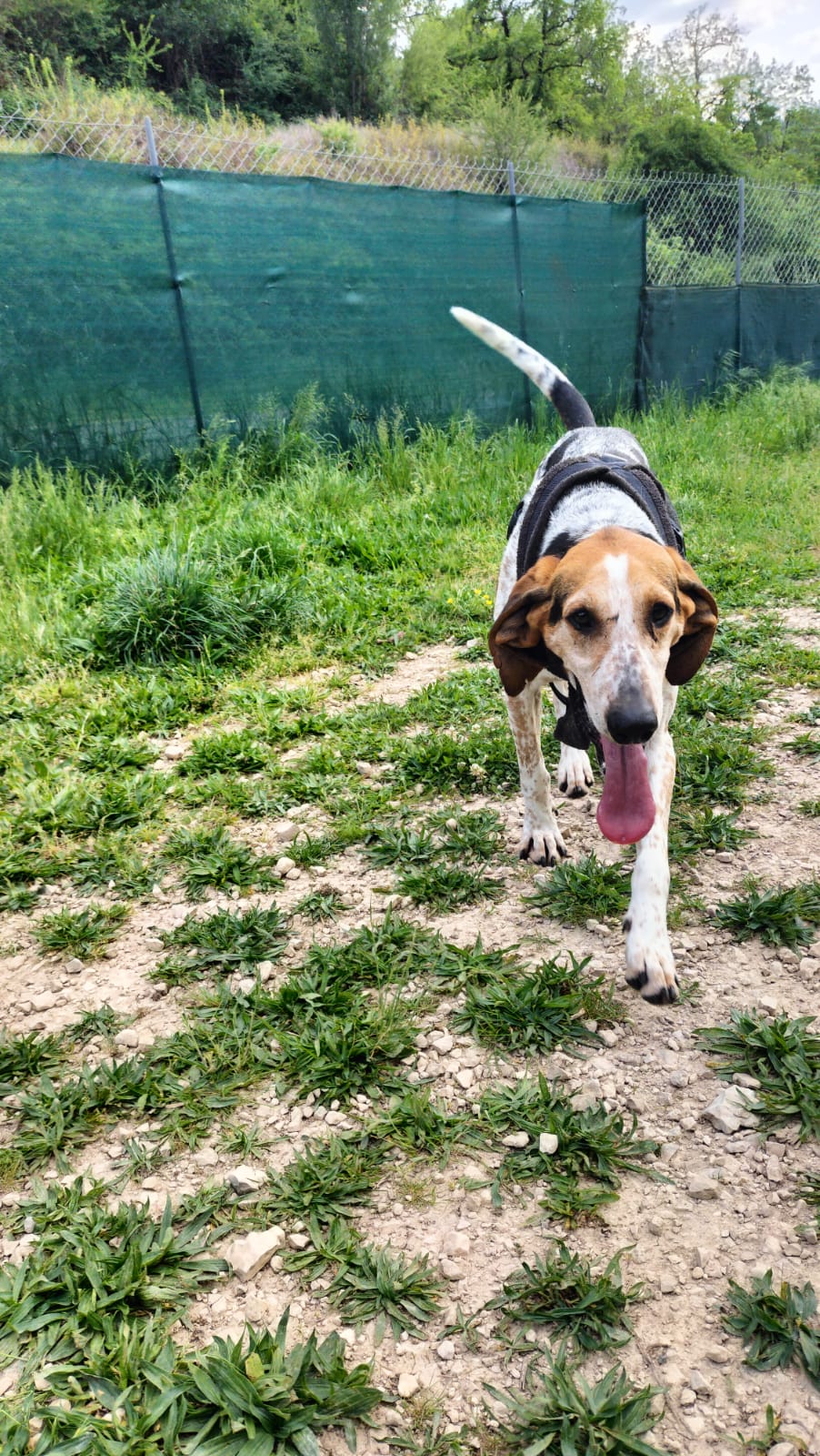 Whatsapp image 2025 05 03 at 19 44 22