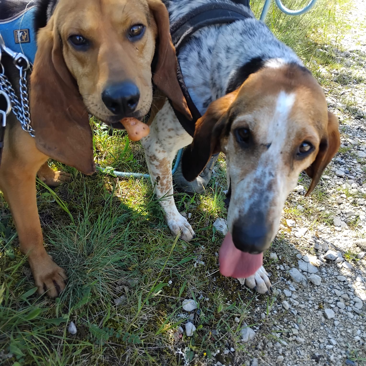 Whatsapp image 2025 04 28 at 18 06 32