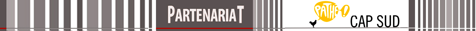 Partenariat pathe cap sud long
