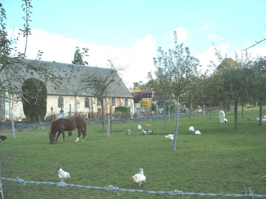 Ferme campagne champs beuvron calvados 207901