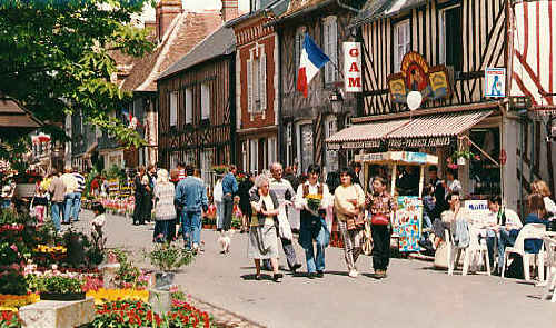 Beuvron geranium2