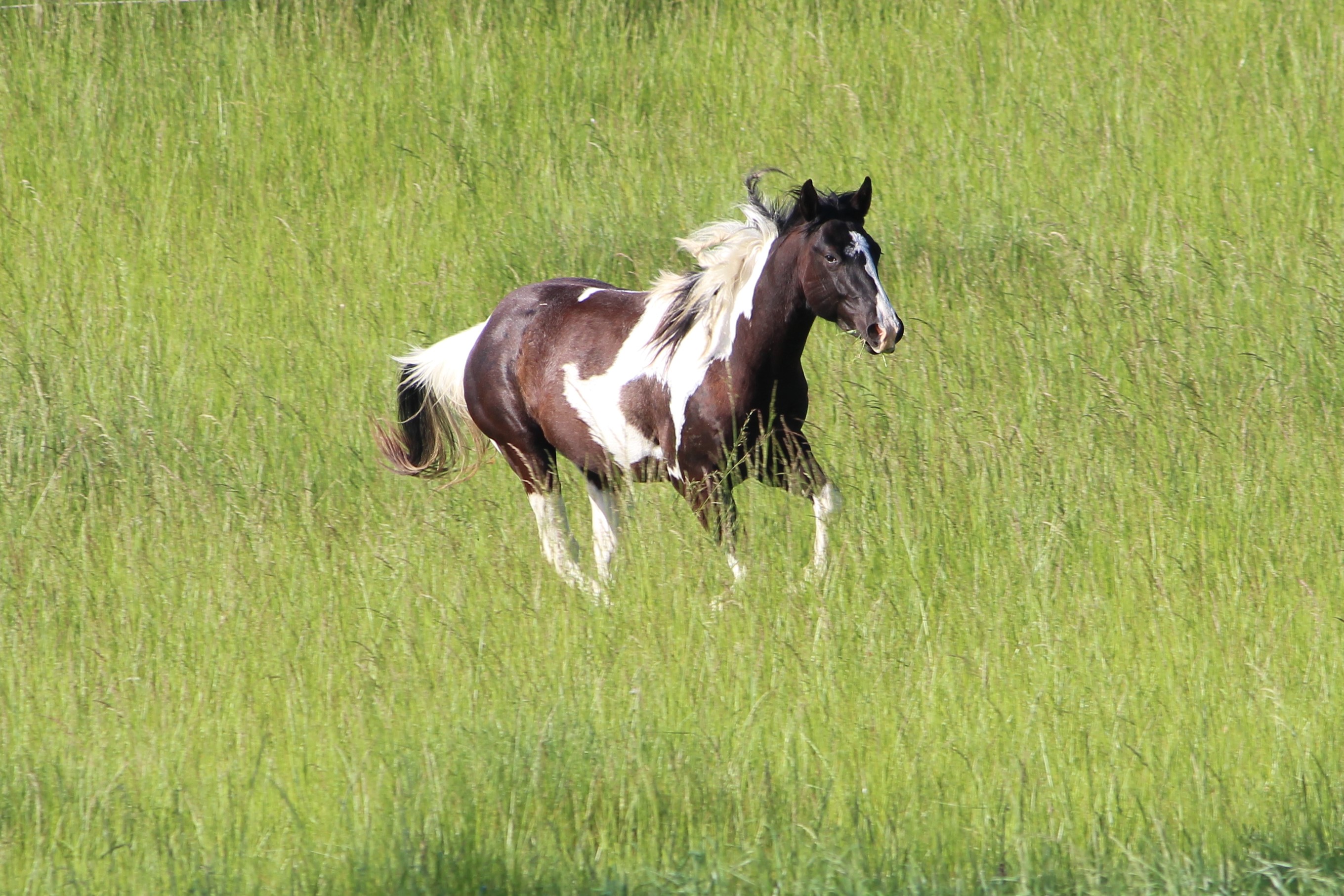 Aa img 7253