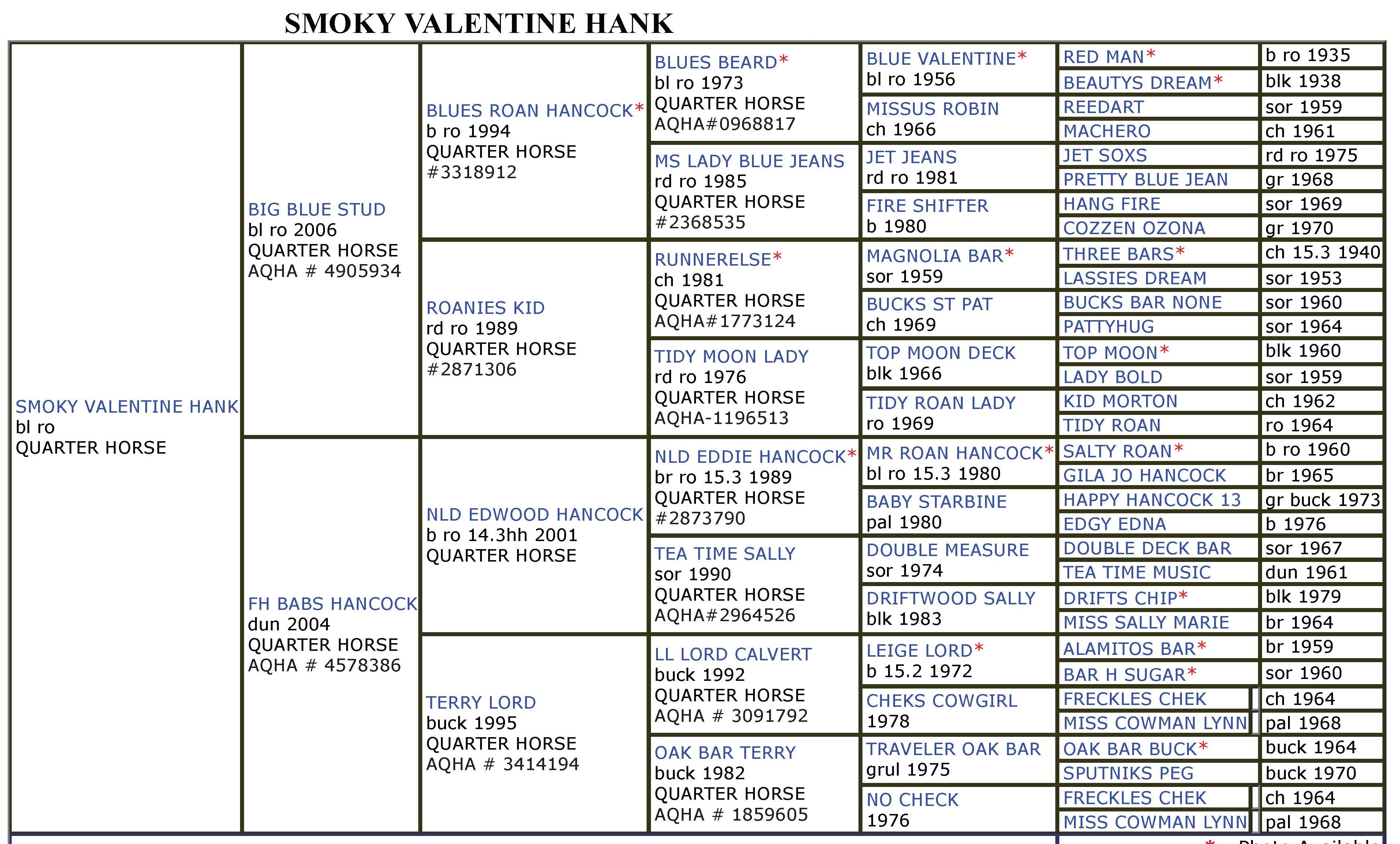 Smoky-Valentine-Hank-Quarter-Horse