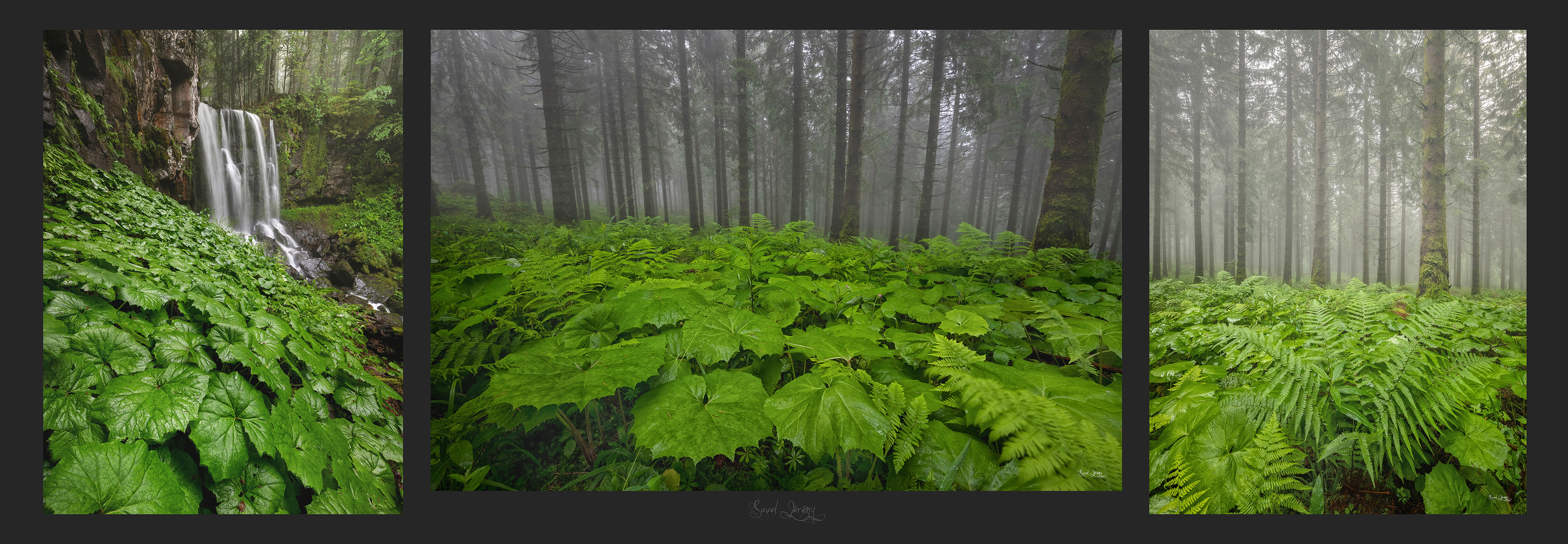 Pano-vertical-multiple-horizontale-fte-1