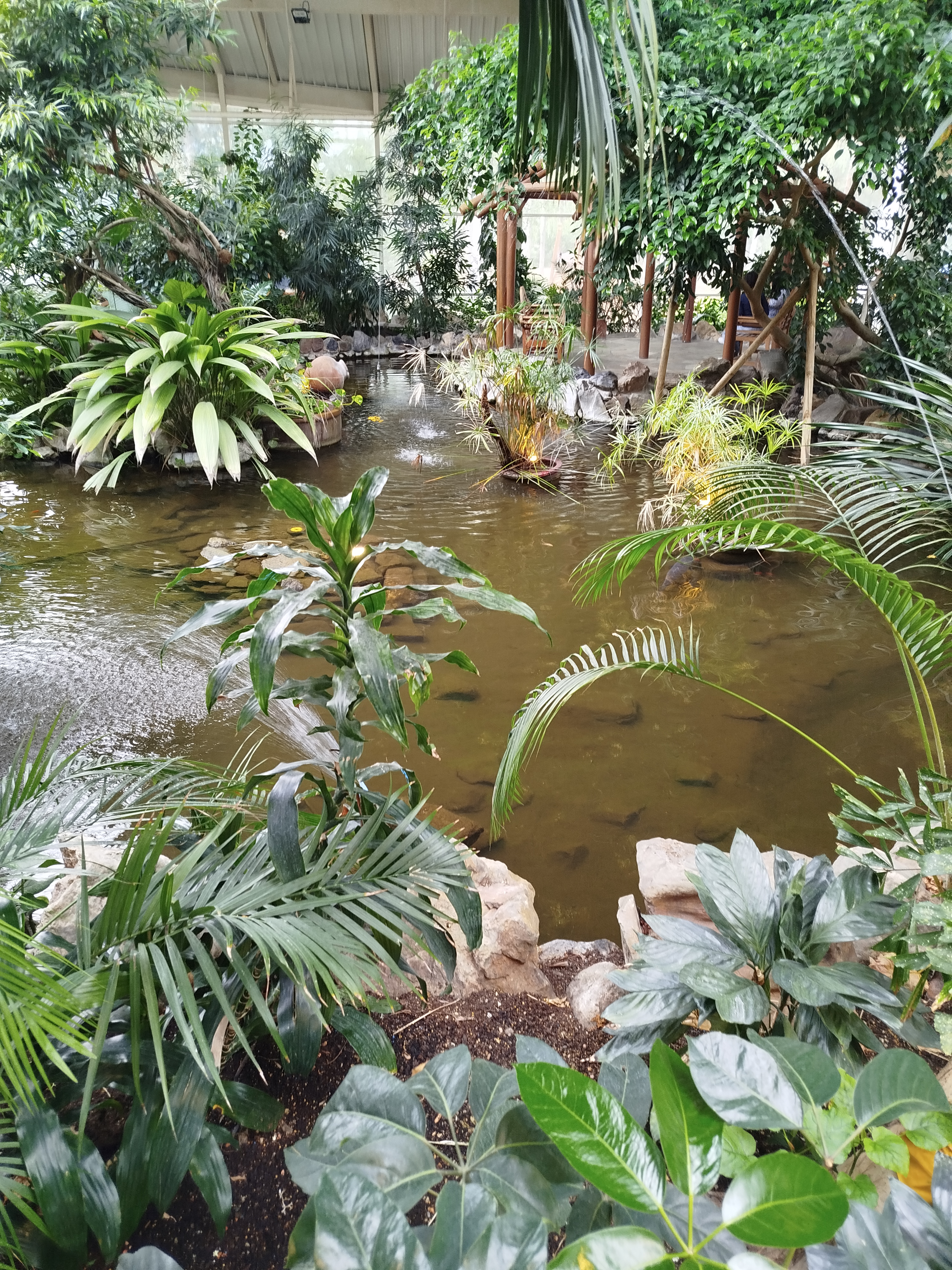 Img 20260603 150508