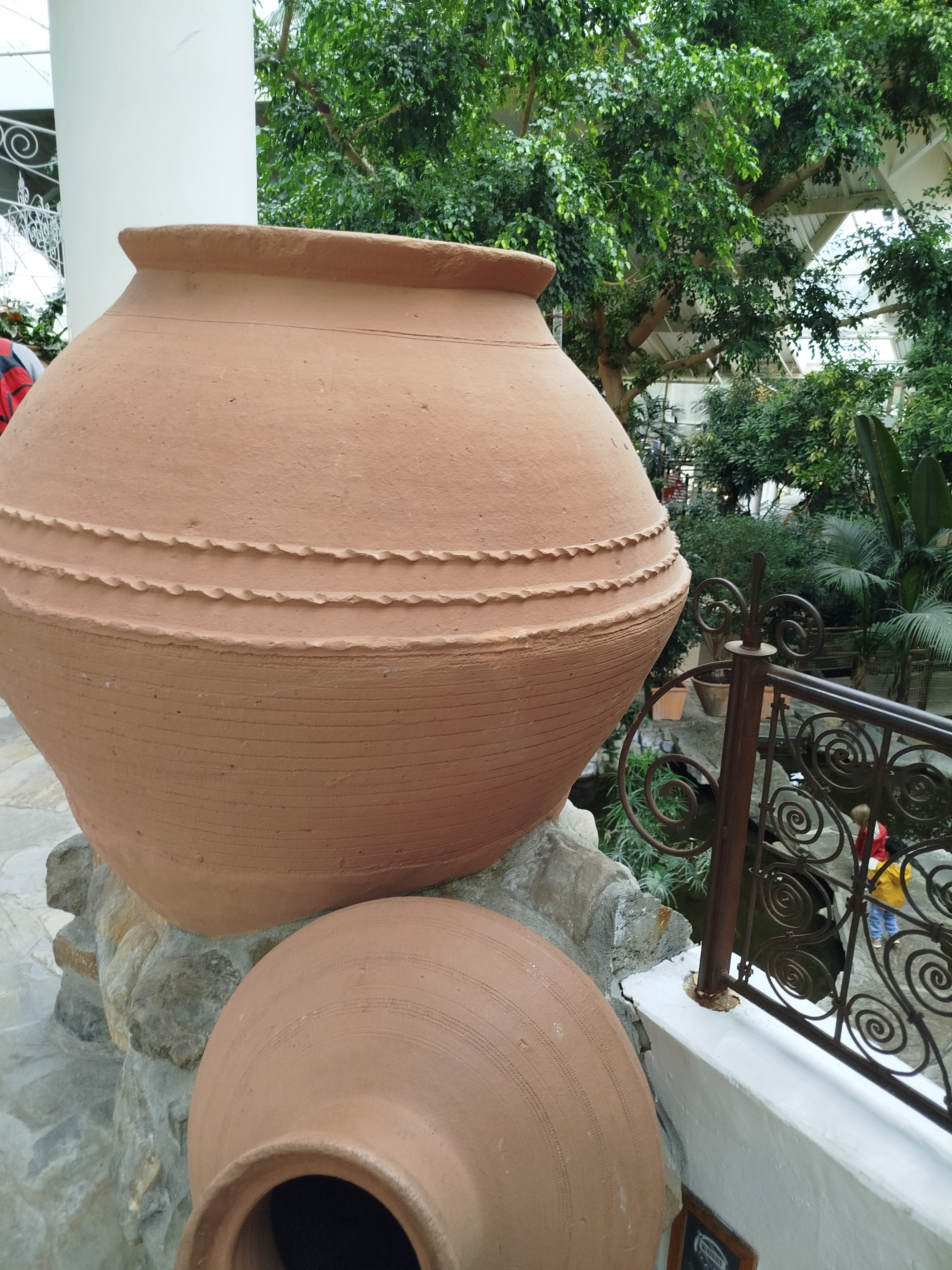Img 20260603 150408