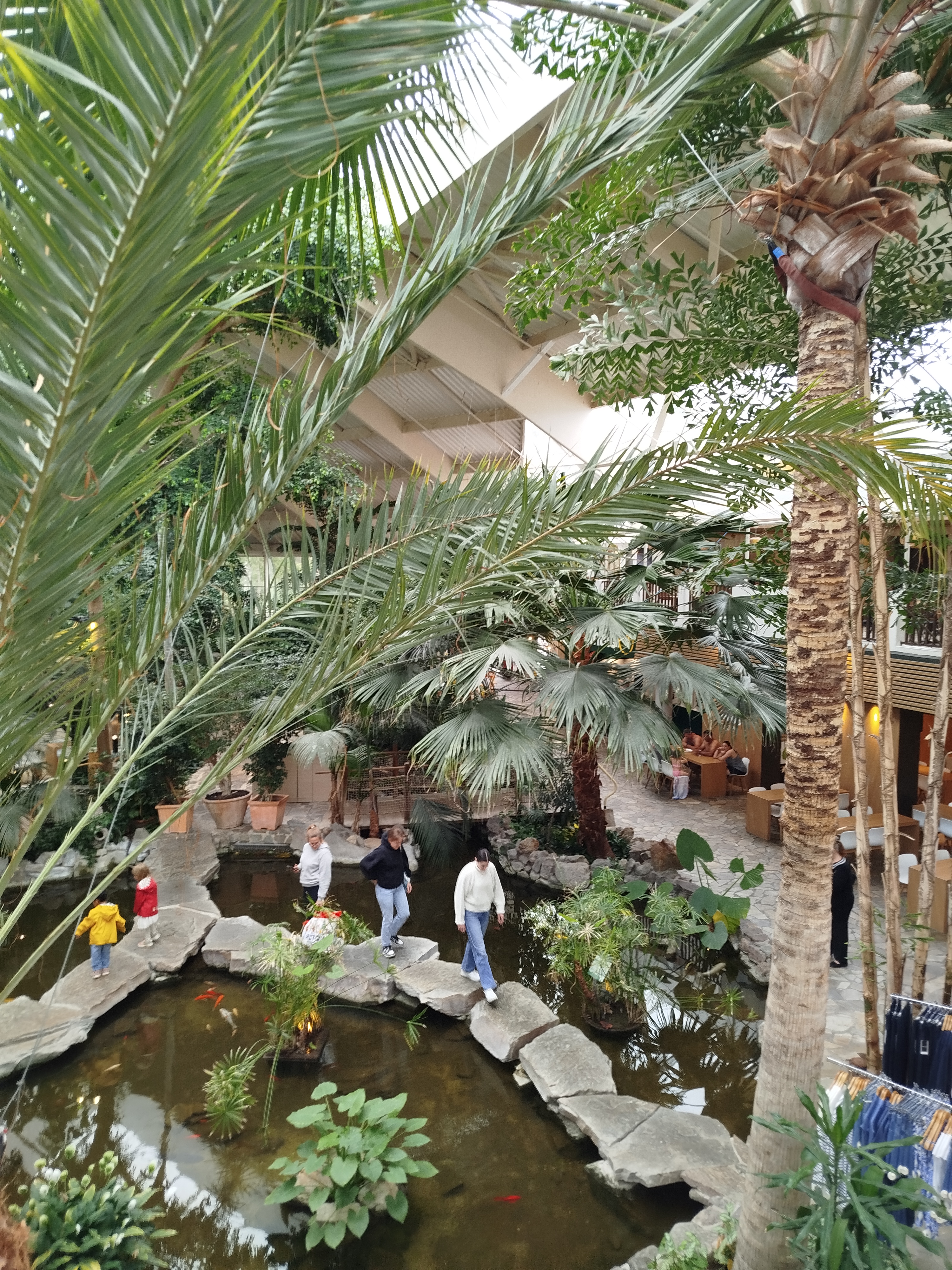 Img 20260603 150358