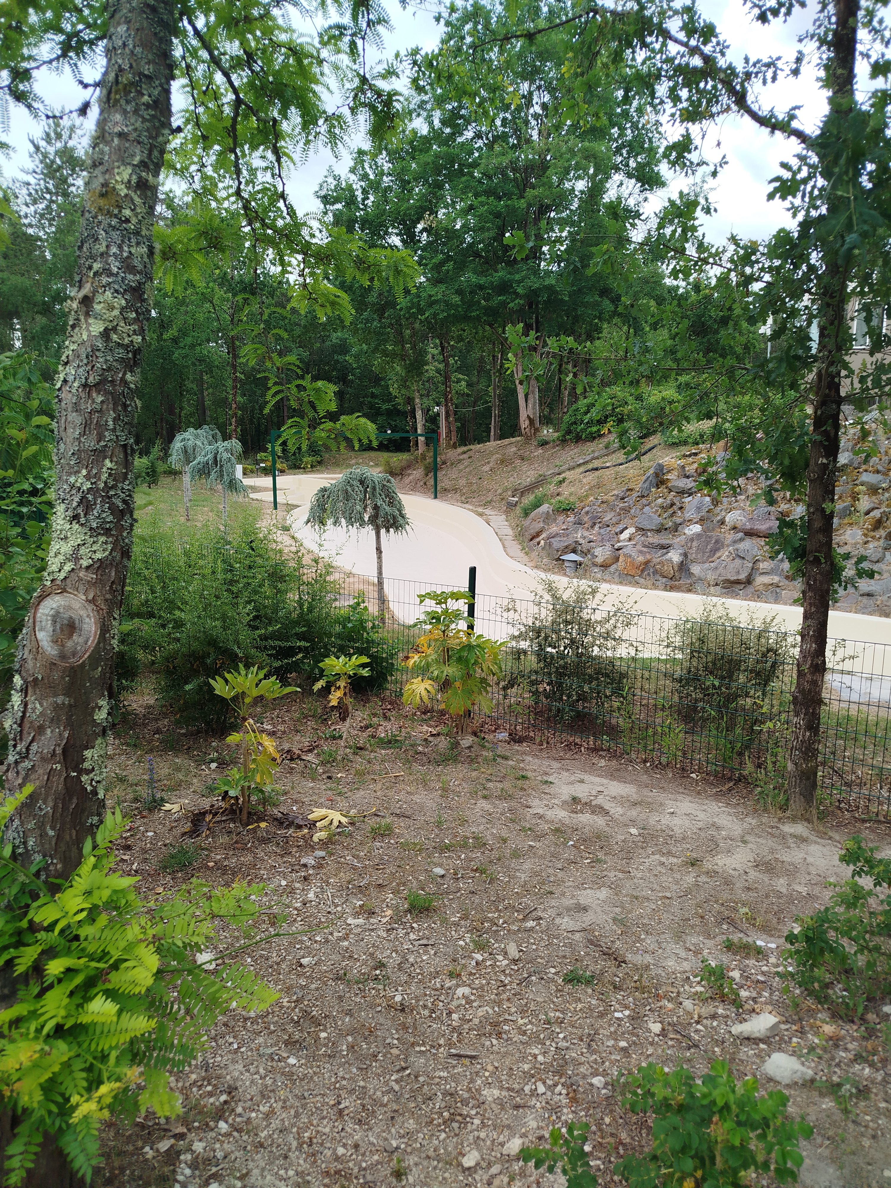 Img 20260602 074115