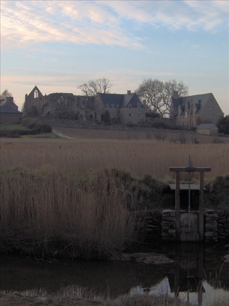 Abbaye depuis roseliere 4