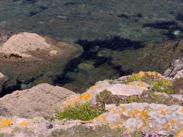Falaises de porsliogan 2
