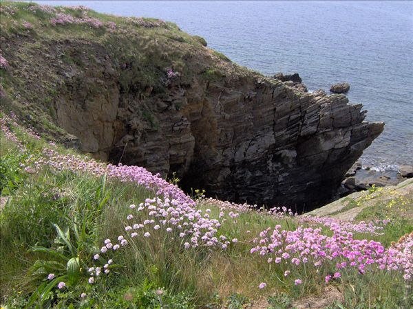 Falaises de porsliogan 3