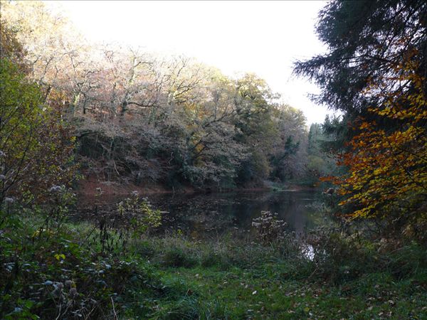 Plan d eau toull lutun
