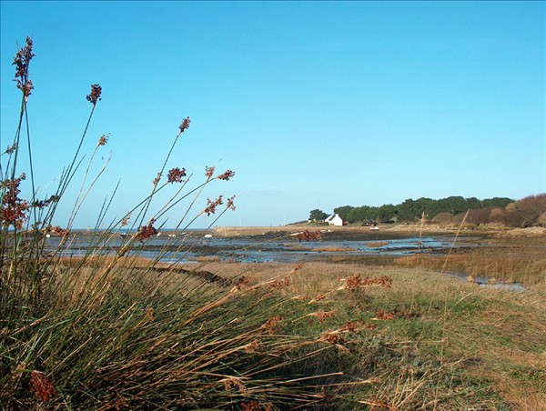 Port beni m2