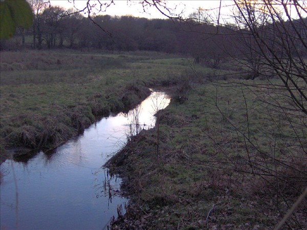 Prairie du bas des gorges