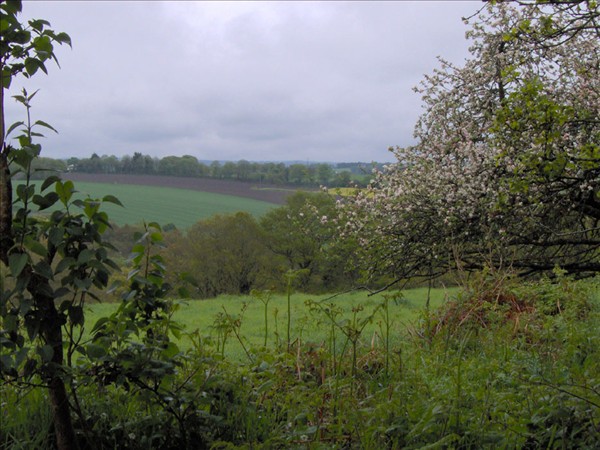Vue depuis crevac h