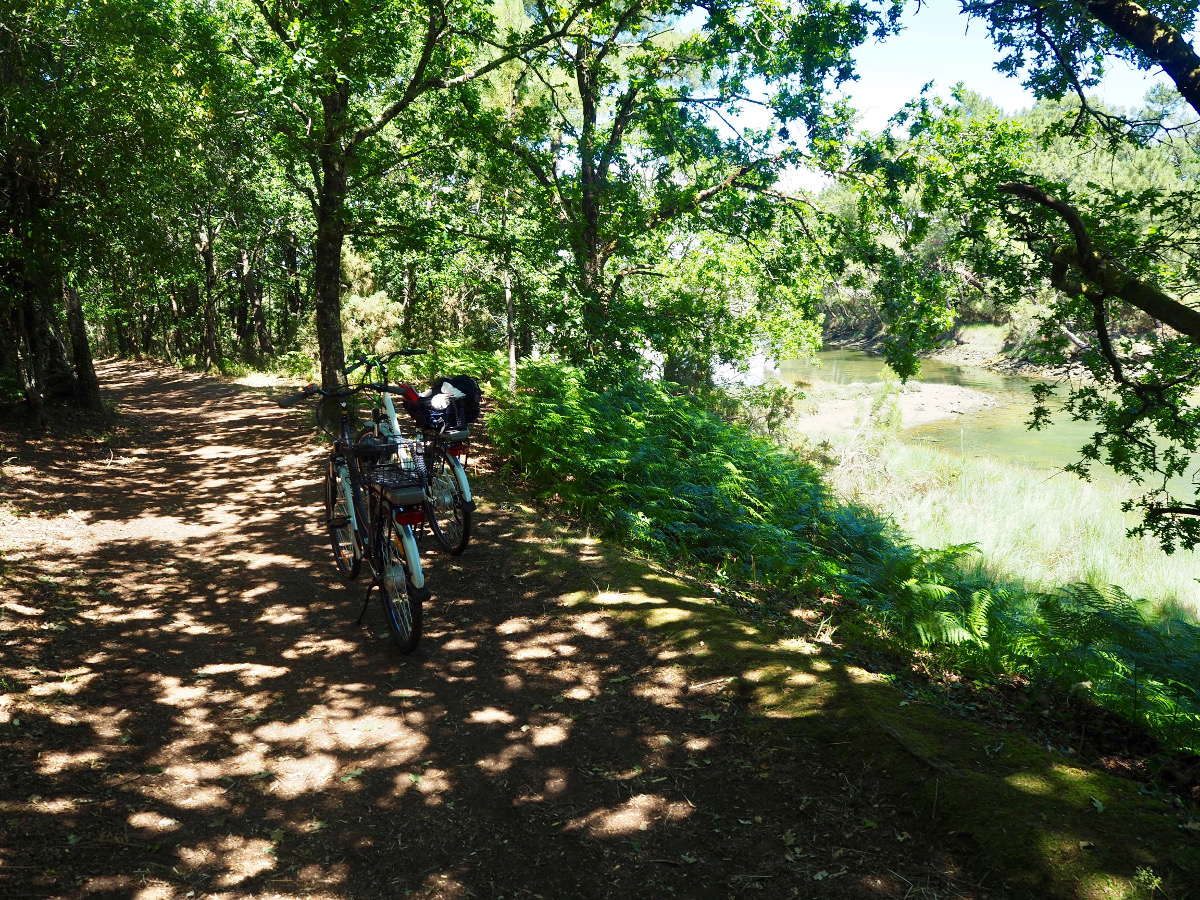 Circuit riviere etel 56 morbihan bretagne sud location les velos de la ria belz