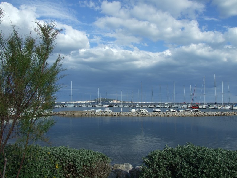 Dscf6110