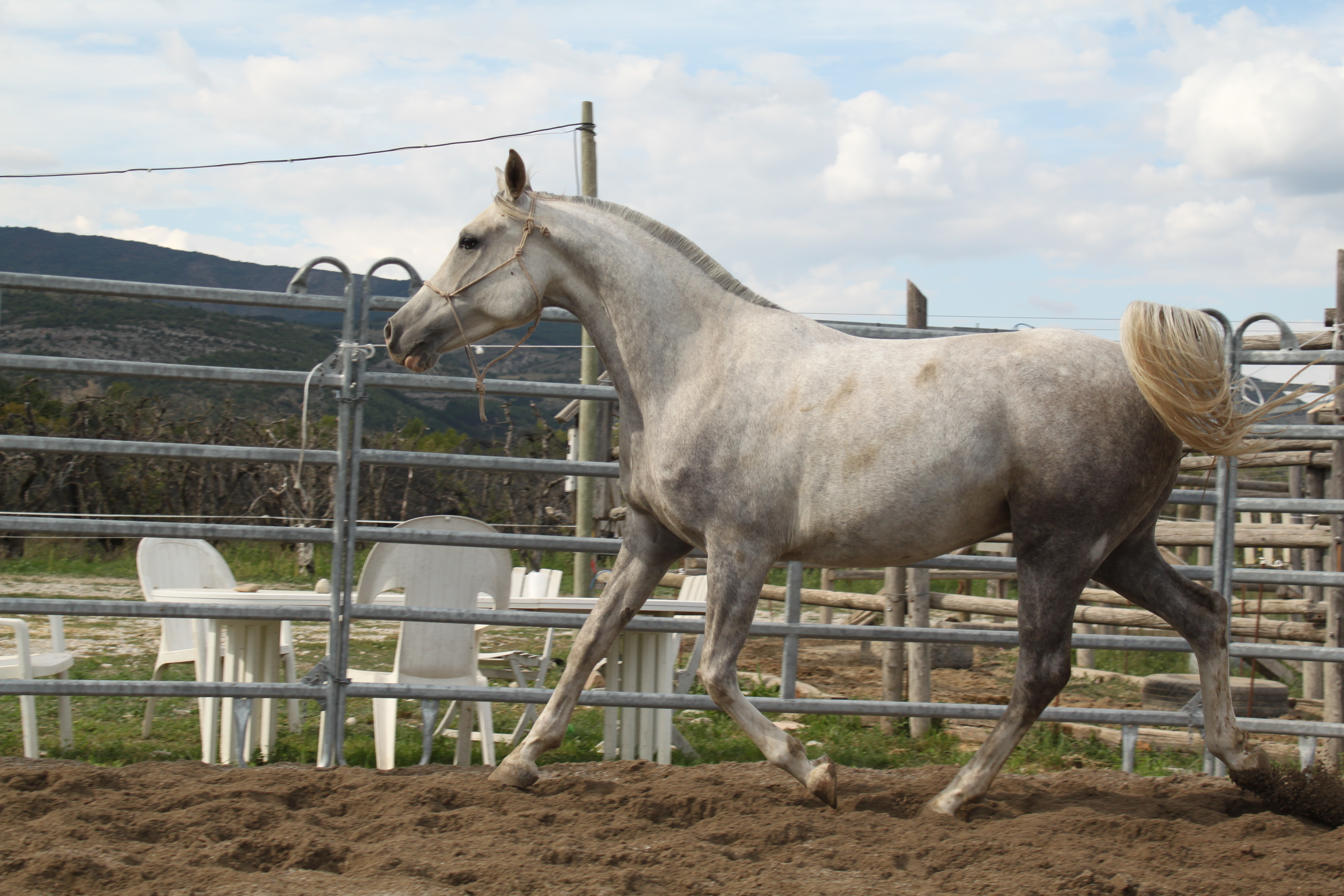 Baltazar aout 2015 18 