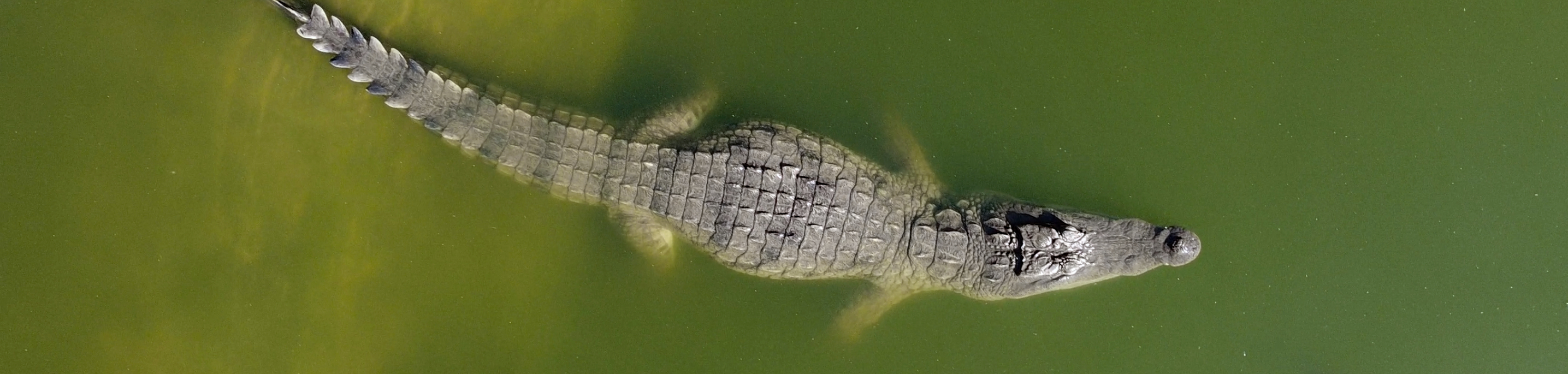 Capture d e cran 2026 04 21 a 13 38 04