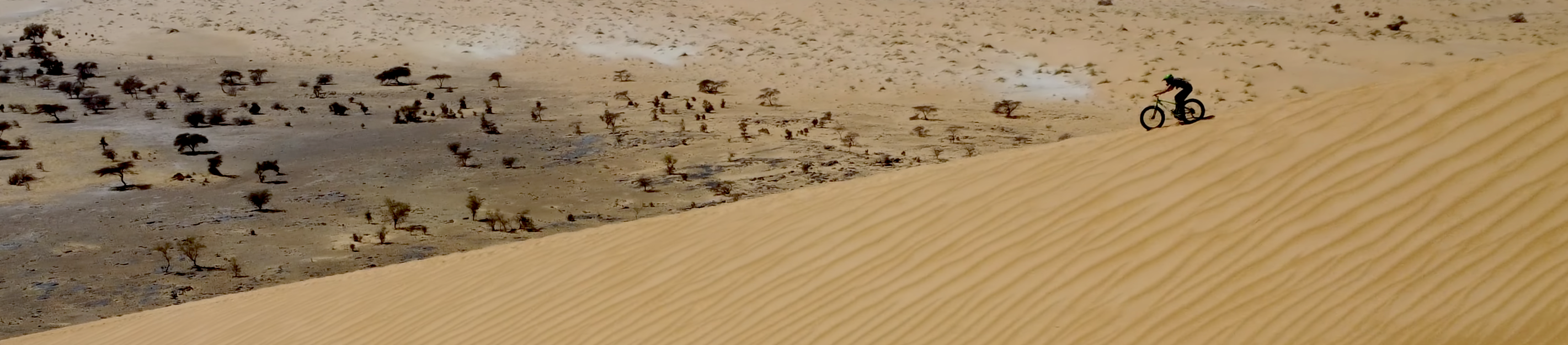 Capture d e cran 2026 04 23 a 23 51 05