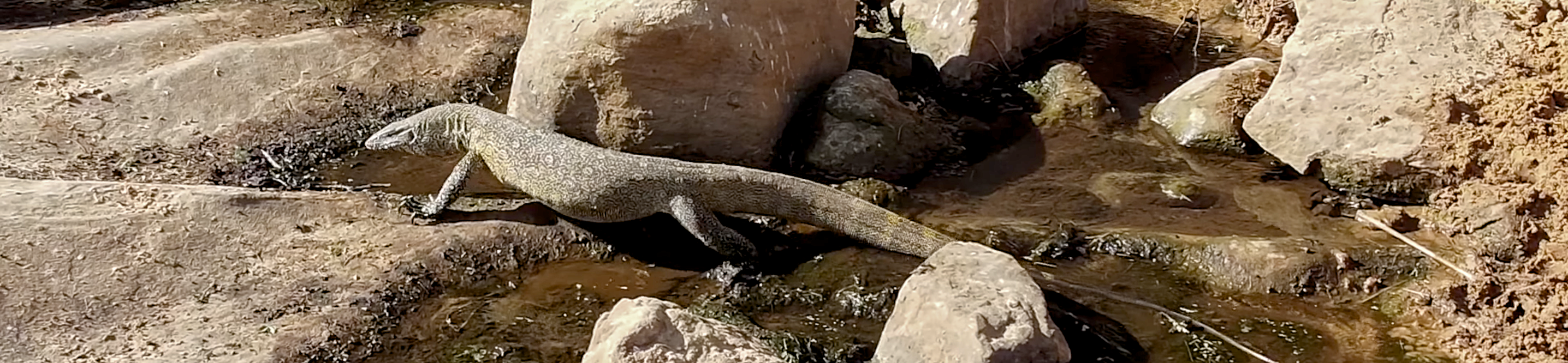 Capture d e cran 2026 04 24 a 06 10 08