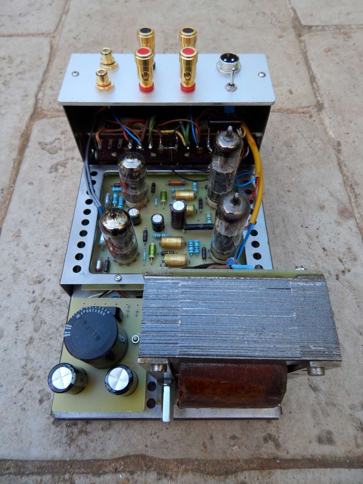 Nf1 8