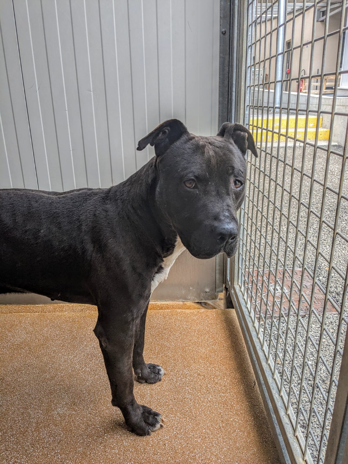 Whatsapp image 2025 06 06 at 18 40 58