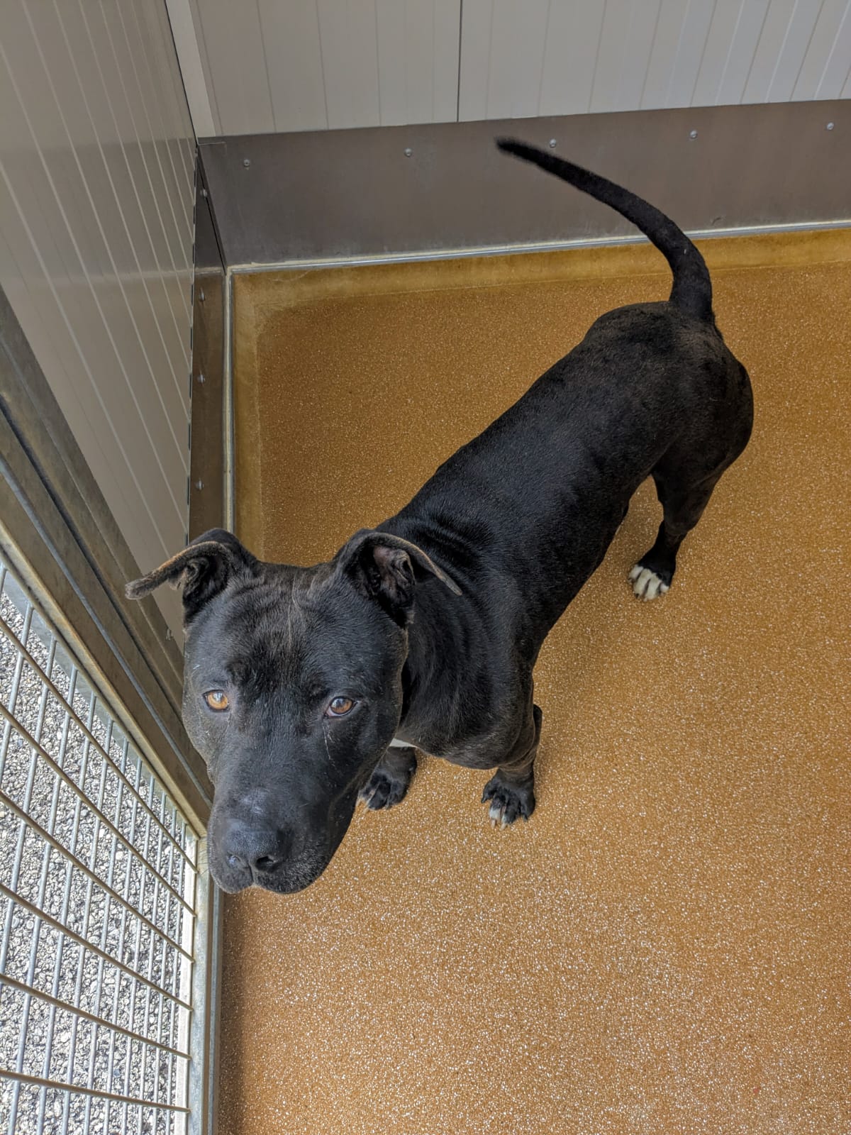 Whatsapp image 2025 06 06 at 18 40 58 1 