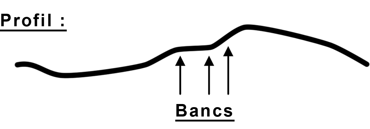 Profil-sentier