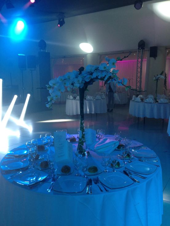 Bar mitzva d ilan guenoun 8 